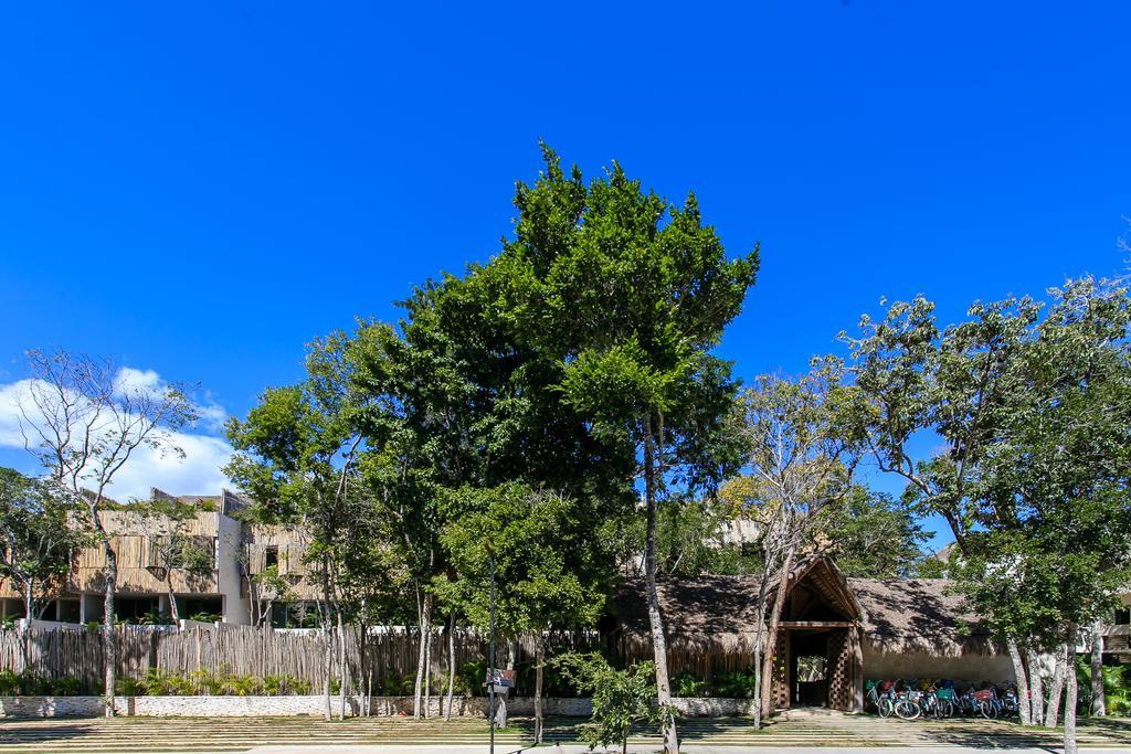 Eco-Chic Design Condos Wrapped In Nature'S Elements By Stella Rentals Tulum Eksteriør billede